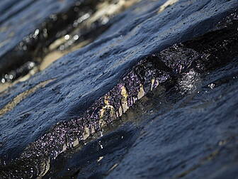 State of emergency over oil sp...